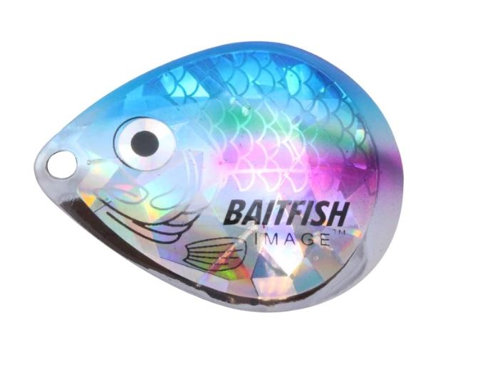 BAITFISH IMAGE BLADES #5 RAINBOW
